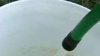 Hairy pussy petting session legs open wide